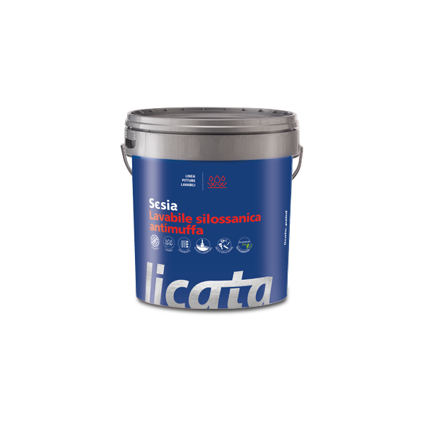 Sesia lavabile silossanica antimuffa bianco Lt13