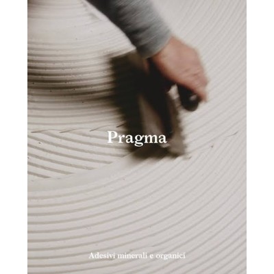 PRAGMA FLEX GRIGIO 25KG